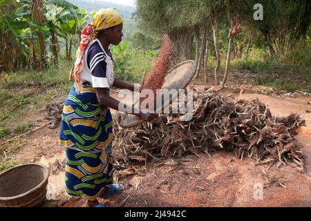 Jean Bosco Ngabonziza, 37 anni, si sposò con 5 figli, con il figlio più giovane. Selezionato per IL programma ARDI perché era molto povero, dice che il progetto ha cambiato mentalità e con la formazione la sua produzione agricola è aumentata. Ora i suoi figli vanno a scuola. La sua nuova casa è stata pagata vendendo 6 capre allevate dalle capre che gli sono state date. Fotografia di Mike Goldwater Foto Stock