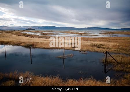 Vista della riserva naturale chiamata Reserva Laguna Nimez, situato vicino El Calafate sul lago Argentino. Zone umide habitat per molte specie di uccelli Foto Stock