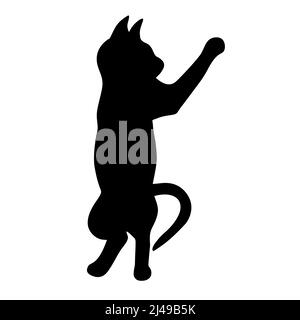 Cat si distingue per la silhouette nera delle gambe posteriori Illustrazione Vettoriale