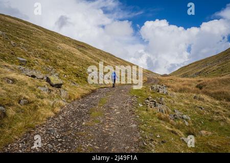 08.04.2022 Dufton, Westmorland, Regno Unito. Camminatore femminile di collina che indossa blu e viola dirigendosi verso High Cup Nick sulla passeriera Pennine Foto Stock