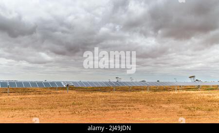 Fattoria pannelli solari vicino Moonta, SA durante una giornata di cielo. I giorni nuvolosi hanno un effetto negativo sulla generazione di energia solare Foto Stock