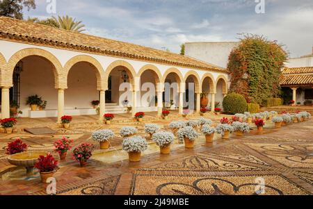 VIANA PALACE GARDENS CORDOBA SPAIN EXTERIOR PATIO GARDEN IL CORTILE DELLE COLONNE E LA SUPERBA COLLEZIONE DI VASI DI FIORI Foto Stock