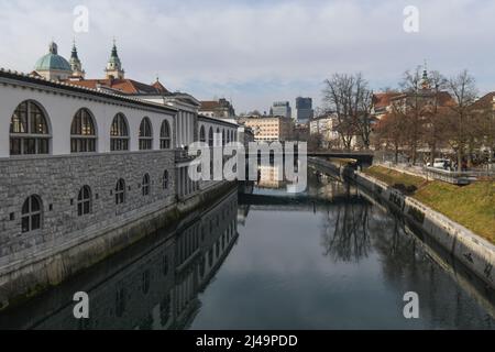 Ljubljana: Ponte del macellaio sul fiume Ljubljanica. Slovenia Foto Stock