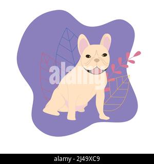 Bulldog francese su sfondo viola. Illustrazione vettoriale piatta Illustrazione Vettoriale