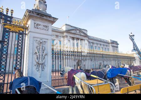 I cavalli sono legati alle ringhiere mentre le persone si riuniscono fuori da Buckingham Palace nel centro di Londra prima dell'adesione Day. Foto Stock