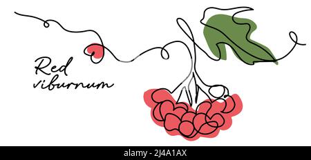 Viburno rosso semplice illustrazione vettoriale a colori. Bacche ucraine. Una linea continua di disegno art del viburnum rosso Illustrazione Vettoriale