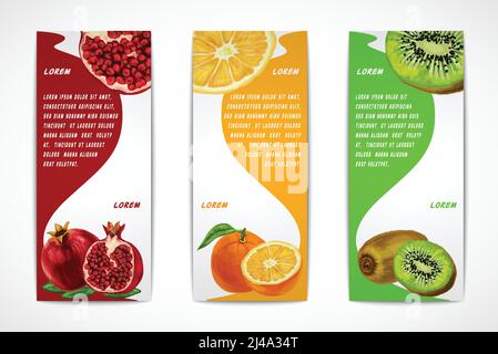 Organici naturali di frutti tropicali banner verticale set di melagrana orange kiwi template design illustrazione vettoriale Illustrazione Vettoriale