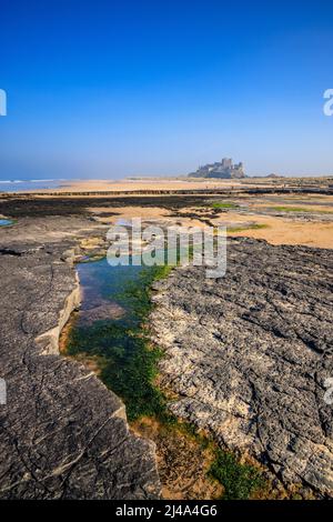 Piscine rocciose sulla spiaggia di Bambburgh con il Castello di Bambburgh sullo sfondo, Northumberland, Inghilterra Foto Stock