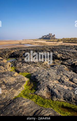 Piscine rocciose sulla spiaggia di Bambburgh con il Castello di Bambburgh sullo sfondo, Northumberland, Inghilterra Foto Stock