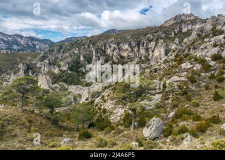 Formazioni calcaree al parco naturale di Els Ports, Spagna Foto Stock