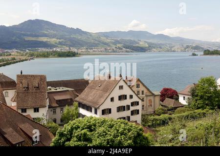 Rapperswil, Svizzera - 10 maggio 2016: Vista generale delle case piastrellate e del lago di Zurigo visibile in lontananza Foto Stock
