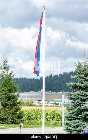 Bandiera della Slovenia sulla bandiera della campagna. Simbolo della nazione slovena con alberi e campi verdi sullo sfondo Foto Stock