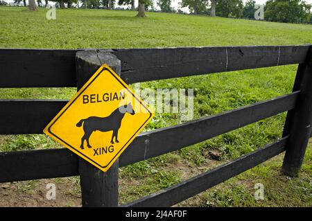 Kentucky Scenic byway Road cartello in Horse Country di Lexington KY Belgiun Crossing Foto Stock