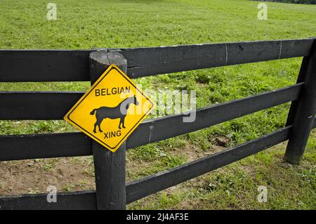 Kentucky Scenic byway Road cartello in Horse Country di Lexington KY Belgiun Crossing Foto Stock
