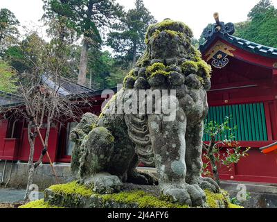 Custode del leone di Komainu presso il tempio di Hakone, Giappone Foto Stock