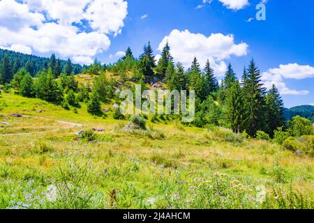 Road and view from-the Eagle's Eye Panoramic site-a favorite tourist attraction in the Western Rhodopes region with Magnificent views to Rhodopes,Rila Foto Stock