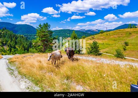 Road and view from-the Eagle's Eye Panoramic site-a favorite tourist attraction in the Western Rhodopes region with Magnificent views to Rhodopes,Rila Foto Stock