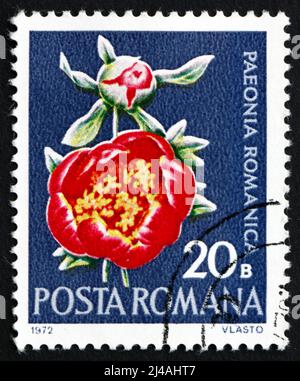ROMANIA - CIRCA 1972: Un francobollo stampato in Romania mostra Peony, Paeonia Peregrina var. Romanica, pianta da fiore, circa 1972 Foto Stock