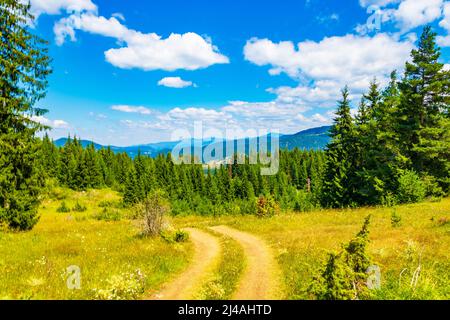 Road and view from-the Eagle's Eye Panoramic site-a favorite tourist attraction in the Western Rhodopes region with Magnificent views to Rhodopes,Rila Foto Stock