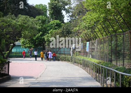 Kolkata, India. 13th Apr 2022. Pochissimi visitatori sono visti nello zoo di Alipore in un'estate molto calda (35 gradi C.) e umida (RH 75%). (Foto di Matteo Nardone/Pacific Press/Sipa USA) Credit: Sipa USA/Alamy Live News Foto Stock