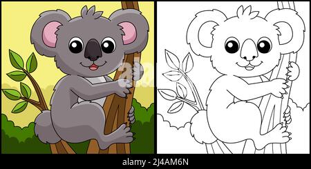 Koala Animal Coloring pagina Illustrazione colorata Illustrazione Vettoriale