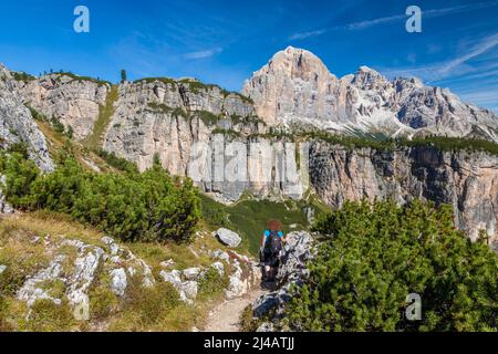 Escursioni intorno a Cinque Torri nelle Dolomiti del Nord Italia, Europa Foto Stock