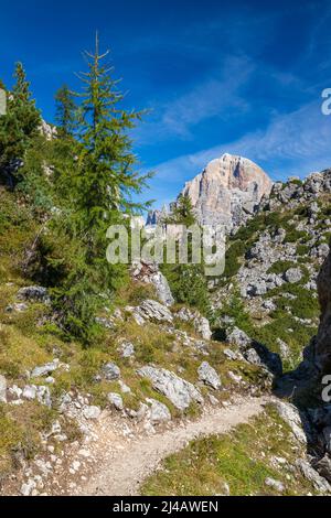 Escursioni intorno a Cinque Torri nelle Dolomiti del Nord Italia, Europa Foto Stock