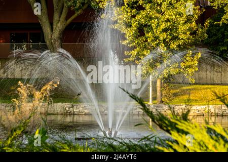 getto d'acqua da una fontana in un parco Foto Stock