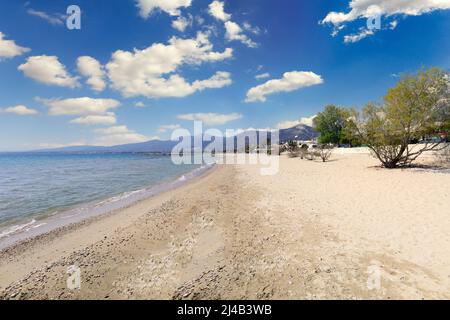 Marathon Beach è una delle più popolari in Attica vicino Atene, Grecia Foto Stock