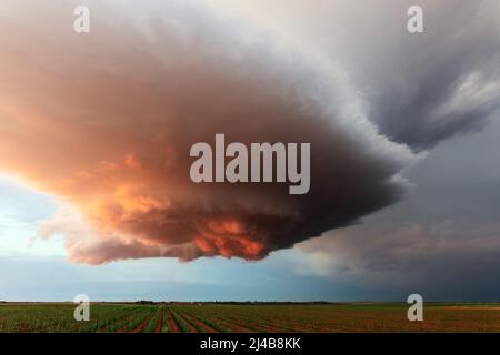 Dramatic supercell storm clouds at sunset near Earth, Texas, USA Foto Stock