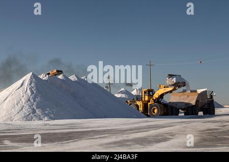 Loving, New Mexico - la United Salt Corporation raccoglie il sale da 2000 acri di letto di lago di sale. Foto Stock