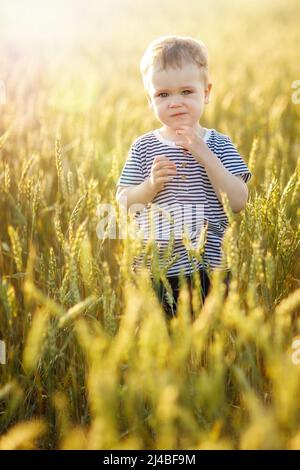 Il ragazzo carino in una T-shirt a righe sta posando tranquillamente in un campo di segale dorato. La luce del sole della sera illumina splendidamente l'orecchio di segale. Foto Stock