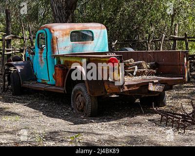 Una ricreazione di un'operazione di taglio delle pecore nell'entroterra è mostrata in un parco botanico del deserto Foto Stock