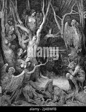 Arpie nel bosco dei suicidi, da Inferno canto XIII, illustrazione di Gustave Doré, 1861 Foto Stock