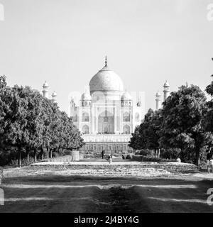 Taj Mahal una delle meraviglie della vista del mondo da Mehtab Bagh lato giardino, Taj Mahal, Agra, Uttar Pradesh, India, Vista soleggiata in bianco e nero Foto Stock