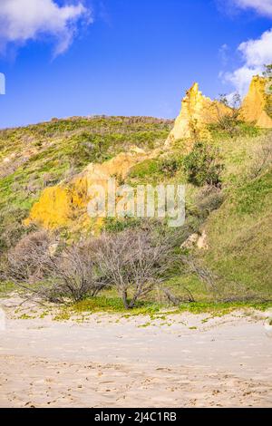 I Pinnacles sono dune di sabbia colorate sulla costa orientale, lungo Seventy Five Mile Beach a Fraser Island, Queensland, Australia Foto Stock