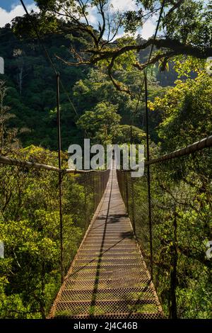 Ponte sospeso nella foresta nuvolosa, Parco Nazionale di Volcan Baru, Highlands di Chiriqui, Panama, America centrale Foto Stock