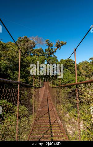 Ponte sospeso nella foresta nuvolosa, Parco Nazionale di Volcan Baru, Highlands di Chiriqui, Panama, America centrale Foto Stock