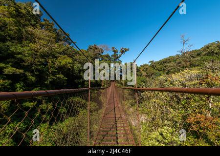 Ponte sospeso nella foresta nuvolosa, Parco Nazionale di Volcan Baru, Highlands di Chiriqui, Panama, America centrale Foto Stock