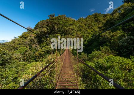 Ponte sospeso nella foresta nuvolosa, Parco Nazionale di Volcan Baru, Highlands di Chiriqui, Panama, America centrale Foto Stock