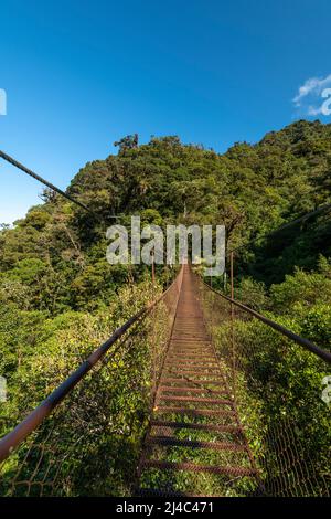 Ponte sospeso nella foresta nuvolosa, Parco Nazionale di Volcan Baru, Highlands di Chiriqui, Panama, America centrale Foto Stock