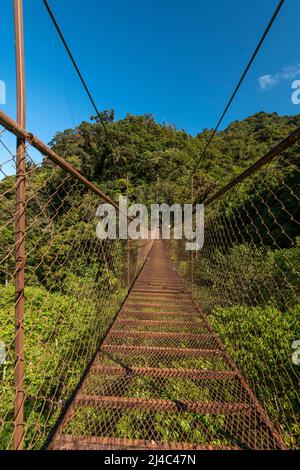 Ponte sospeso nella foresta nuvolosa, Parco Nazionale di Volcan Baru, Highlands di Chiriqui, Panama, America centrale Foto Stock