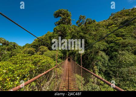 Ponte sospeso nella foresta nuvolosa, Parco Nazionale di Volcan Baru, Highlands di Chiriqui, Panama, America centrale Foto Stock