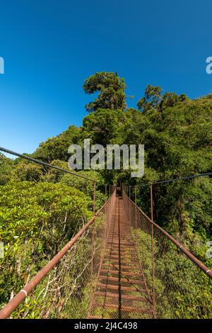 Ponte sospeso nella foresta nuvolosa, Parco Nazionale di Volcan Baru, Highlands di Chiriqui, Panama, America centrale Foto Stock