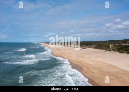 Alto angolo drone vista di un ampio vuoto e infinito spiaggia di sabbia dorata con alte dune di sabbia e vegetazione dietro Foto Stock