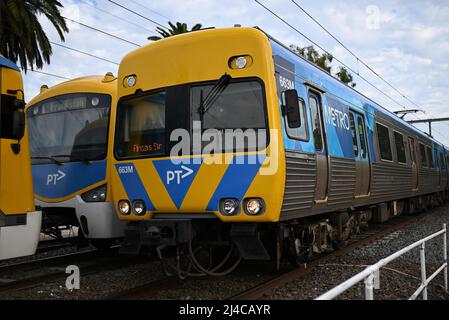 Due treni a marchio PTV e Metro, un Siemens Nexas e un vecchio treno Comeng, che si transitano a vicenda su una parte della rete ferroviaria suburbana di Melbourne Foto Stock