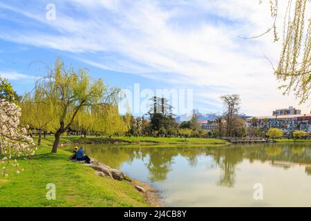 La primavera del 6 potrebbe parcheggiare a Batumi, Georgia Foto Stock
