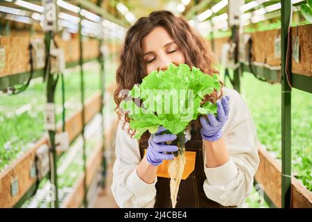 Donna felice giardiniere mangiare fresco lattuga pianta e chiudere gli occhi dal piacere. Gioiosa giovane donna in giardino guanti degustazione verde verde in serra. Foto Stock