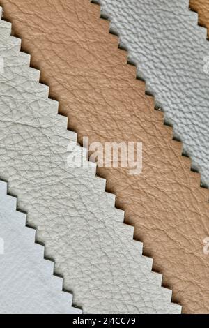 primo piano catalogo tessuti pelle per interni in tonalità grigio chiaro, marrone e beige Foto Stock