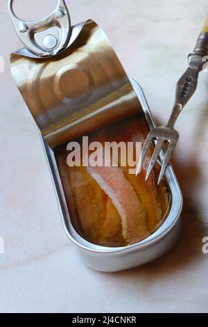 Acciuga europea (Engraulis encrasicolus), filetti di acciuga in scatola Foto Stock